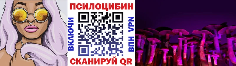 Псилоцибиновые грибы мицелий  Купить  Кирс 